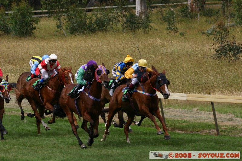 Hanging Rock - New Year Day Races
Mots-clés: sport animals cheval