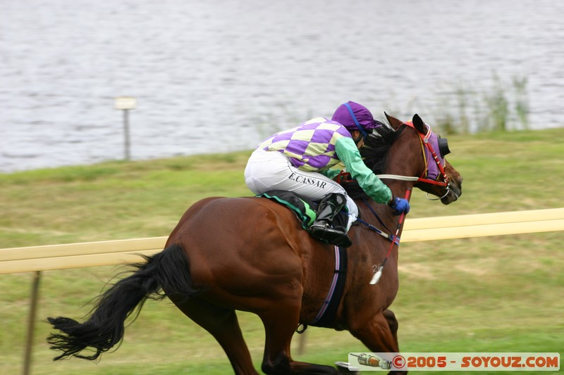 Hanging Rock - New Year Day Races
Mots-clés: sport animals cheval