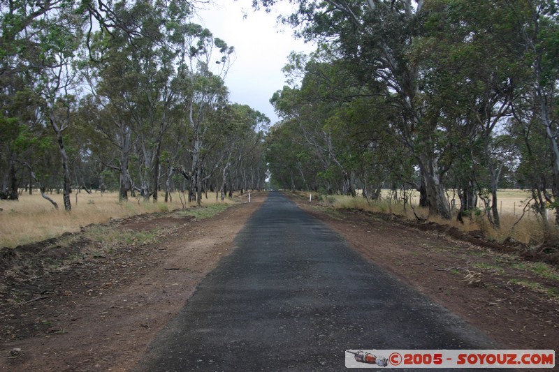 The Grampians - Victoria Valley Road
Mots-clés: Route