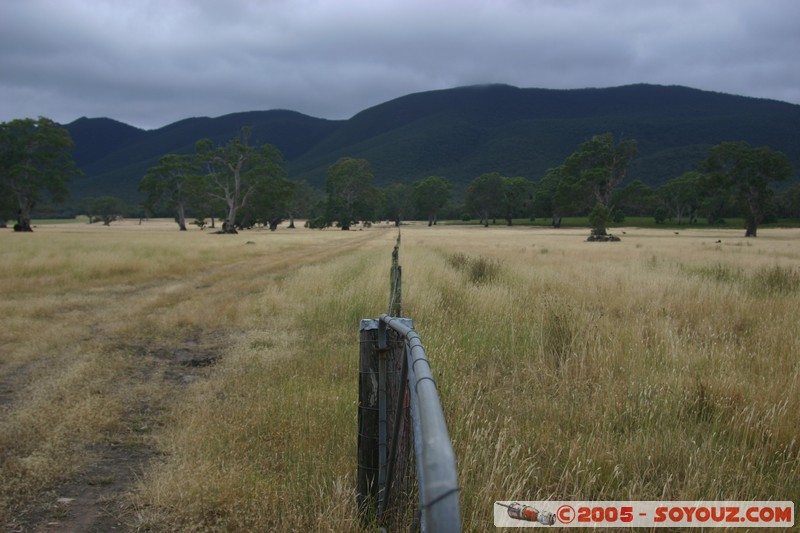 The Grampians - Victoria Valley Road
