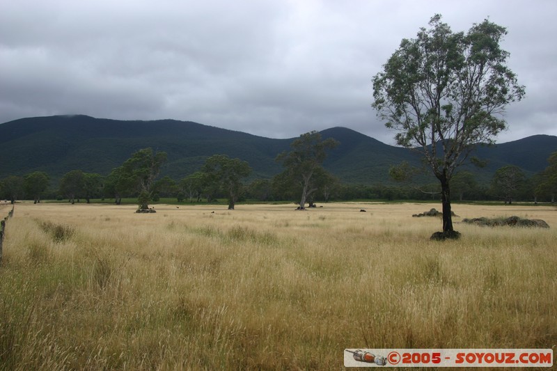 The Grampians - Victoria Valley Road
