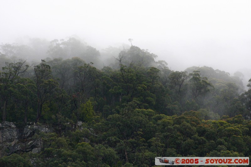 The Grampians - Mt Victory Road
Mots-clés: Arbres