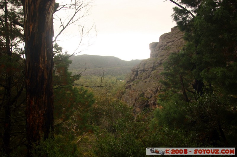 The Grampians - Mt Victory Road
Mots-clés: Arbres