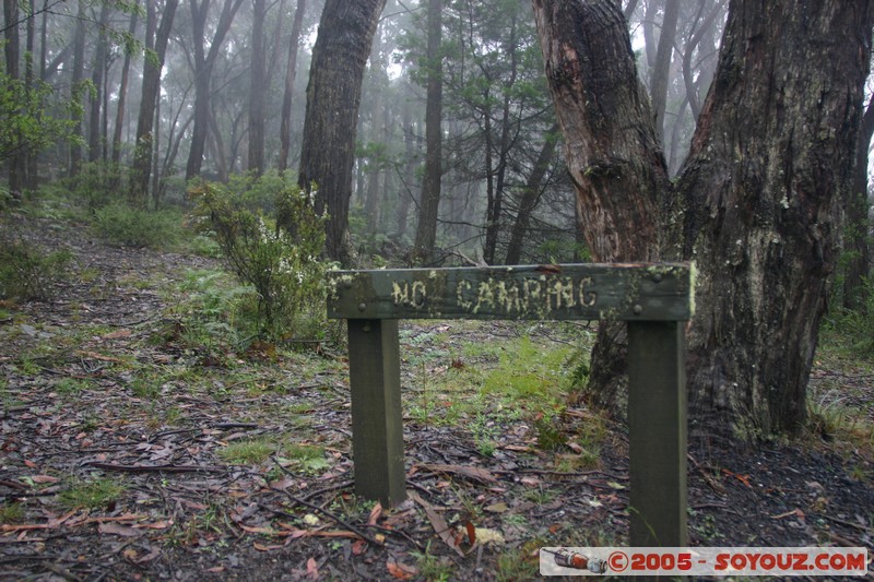 The Grampians - Mt Victory Road
Mots-clés: brume