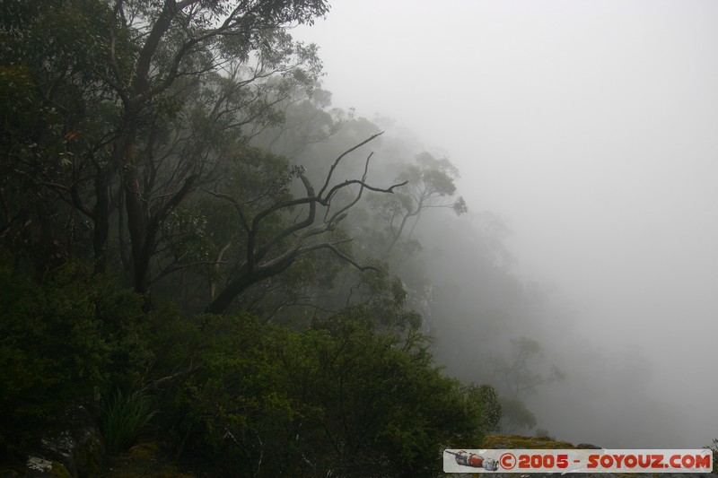 The Grampians - Mt Victory Road
Mots-clés: brume Arbres