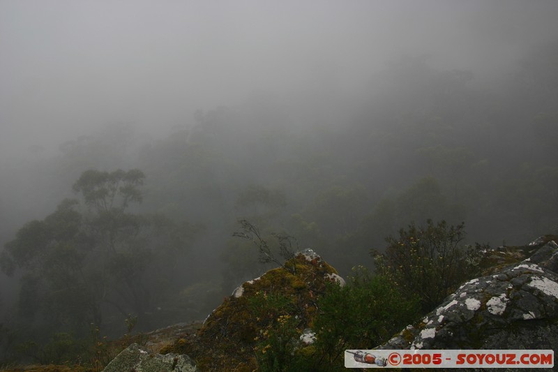 The Grampians - Mt Victory Road
Mots-clés: brume Arbres