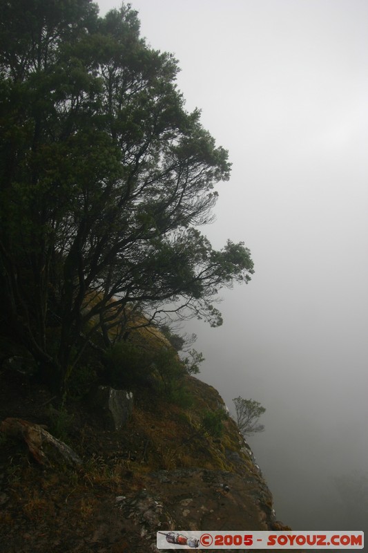 The Grampians - Mt Victory Road
Mots-clés: brume Arbres