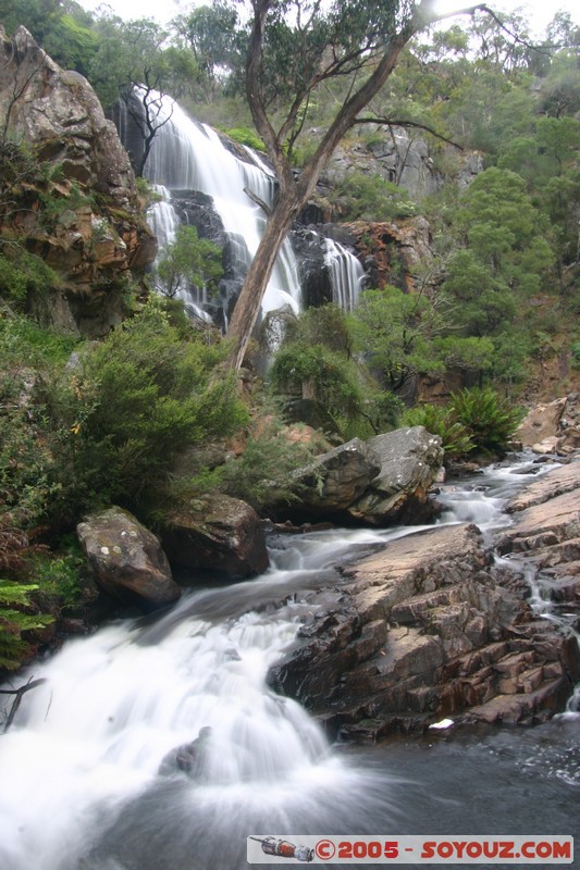 The Grampians - McKenzie Falls
Mots-clés: cascade