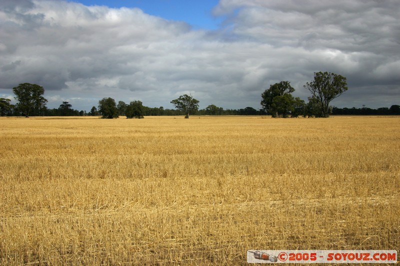 The Wimmera - C222 - Grampians Road
