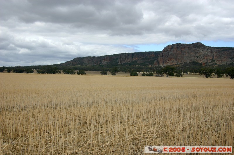 The Wimmera - C213 - Natimuk Frances Road
