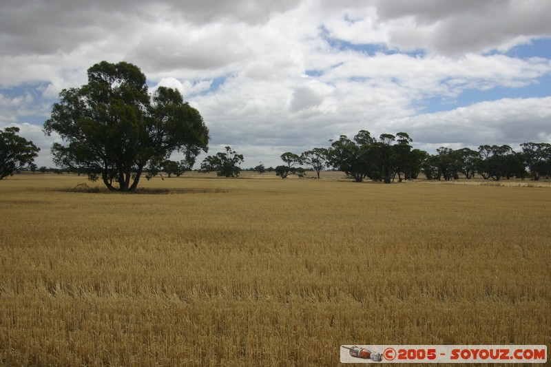 The Wimmera - C213 - Natimuk Frances Road
