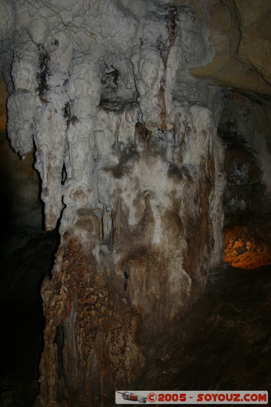 Naracoorte - Alexandra Cave
Mots-clés: patrimoine unesco grotte