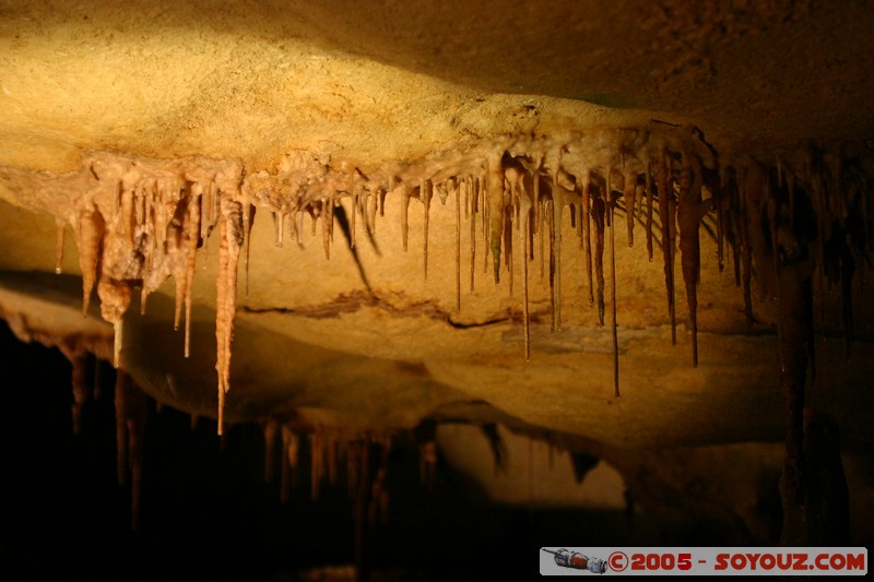 Naracoorte - Alexandra Cave
Mots-clés: patrimoine unesco grotte