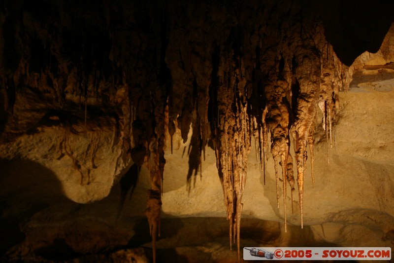 Naracoorte - Alexandra Cave
Mots-clés: patrimoine unesco grotte