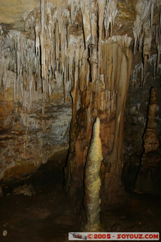 Naracoorte - Alexandra Cave
Mots-clés: patrimoine unesco grotte