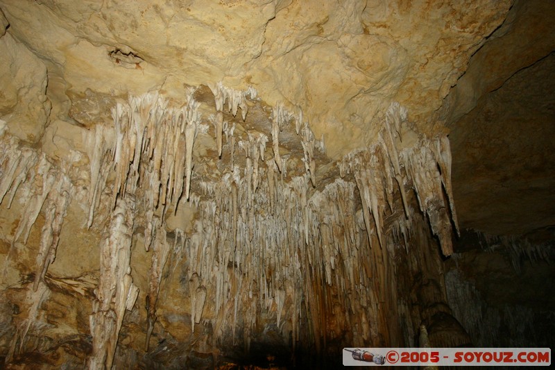 Naracoorte - Alexandra Cave
Mots-clés: patrimoine unesco grotte