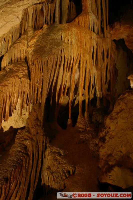 Naracoorte - Alexandra Cave
Mots-clés: patrimoine unesco grotte