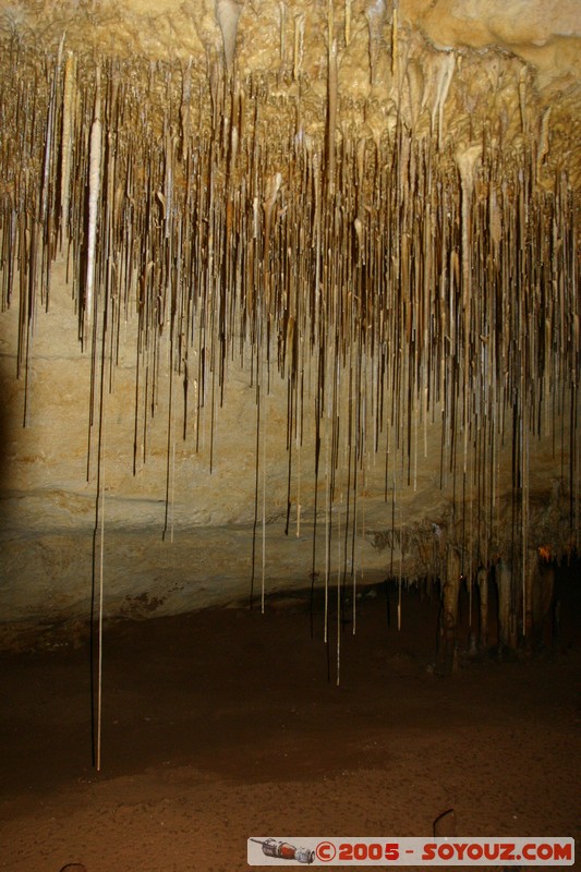 Naracoorte - Alexandra Cave
Mots-clés: patrimoine unesco grotte