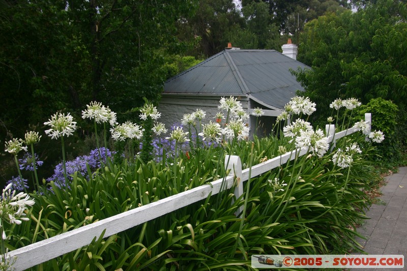 Hahndorf
