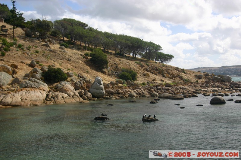 Victor Harbor - Granite Island
