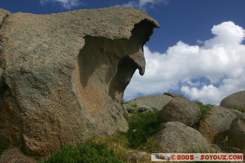 Victor Harbor - Granite Island
