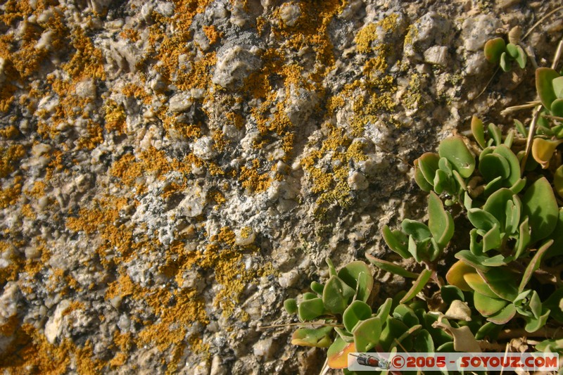 Victor Harbor - Granite Island
