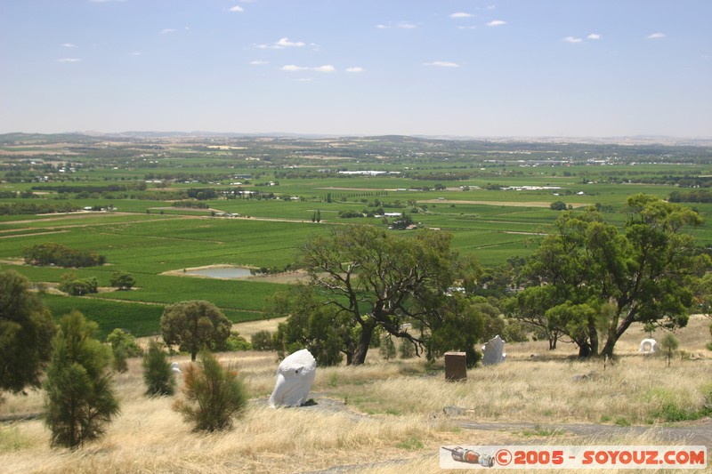Barossa Valley - Menglers Hill Lookout
