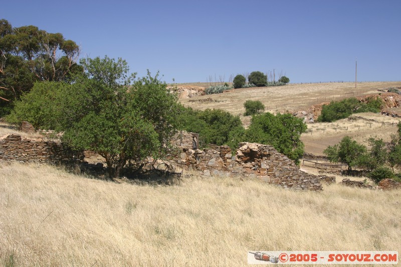 Burra - Smelts Paddock
