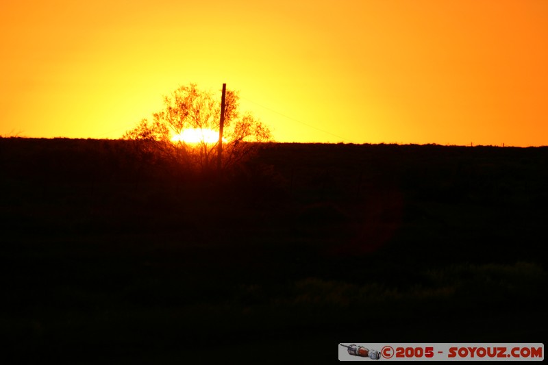 Outback sunset
Mots-clés: sunset