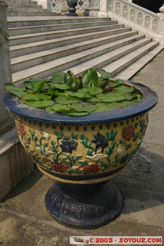 Bangkok - Wat Phra Kaew - Waterlily
Mots-clés: thailand Boudhiste fleur