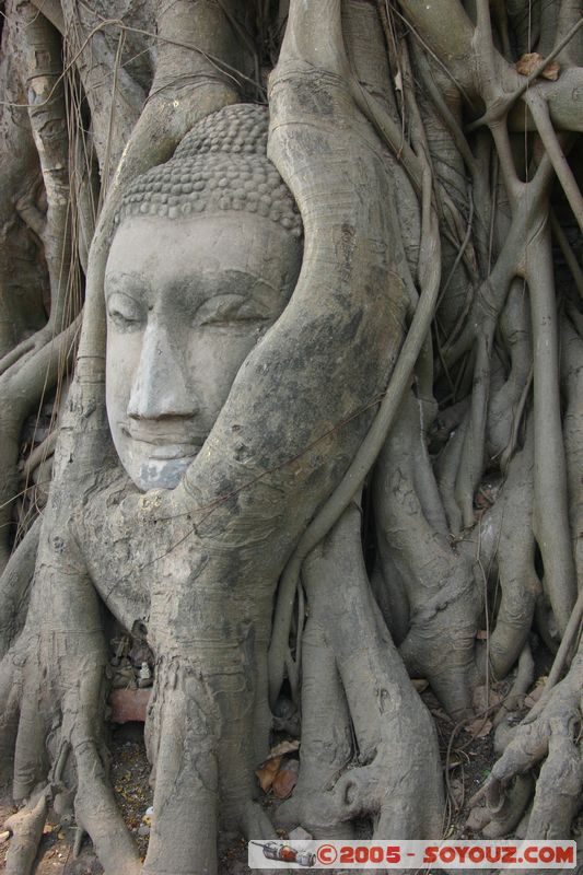 Ayutthaya - Wat Phra Mahathat - Buddha head
Mots-clés: thailand patrimoine unesco Boudhiste statue