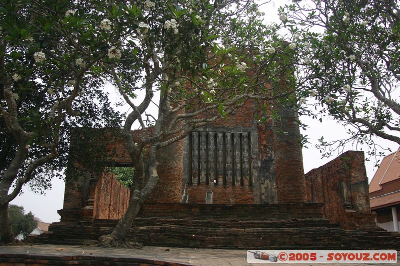 Ayutthaya - Wat Thammikarat
Mots-clés: thailand patrimoine unesco Ruines Boudhiste