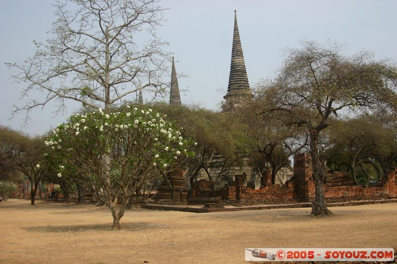 Ayutthaya - Wat Phra Sri Sanphet
Mots-clés: thailand patrimoine unesco Ruines Boudhiste