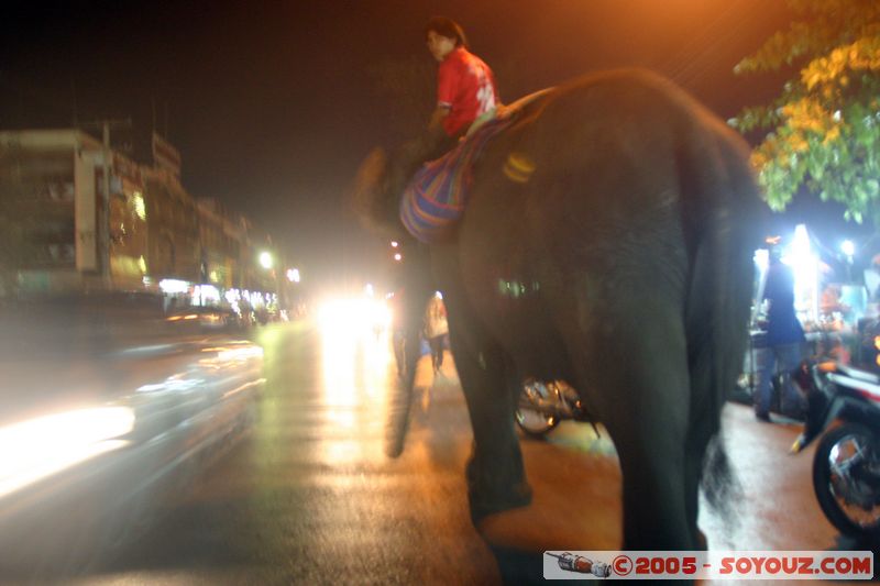 Lop Buri - Night Market
Mots-clés: thailand Marche Nuit animals Elephant