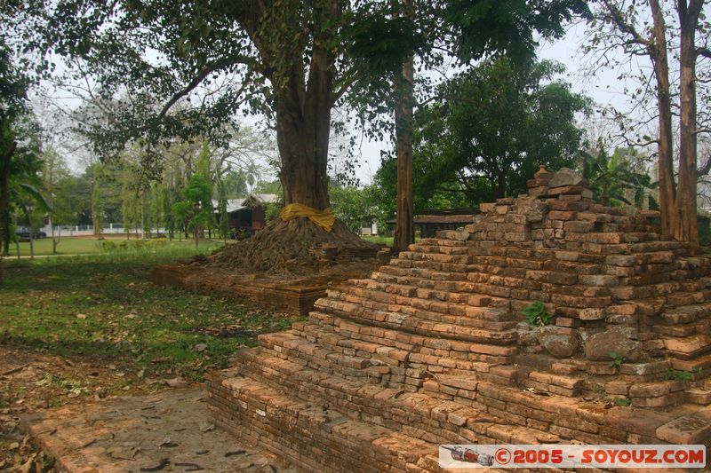 Golden Triangle - Chiang Saen - Wat Chedi Luang
Mots-clés: thailand Ruines