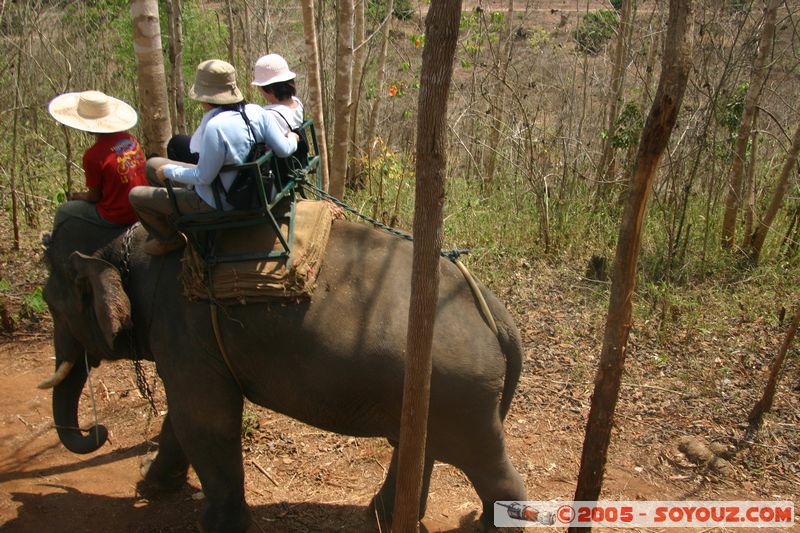 Around Chiang Mai - Elephant tour
Mots-clés: thailand animals Elephant