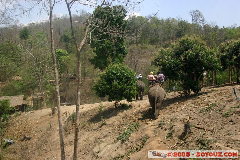 Around Chiang Mai - Elephant tour
