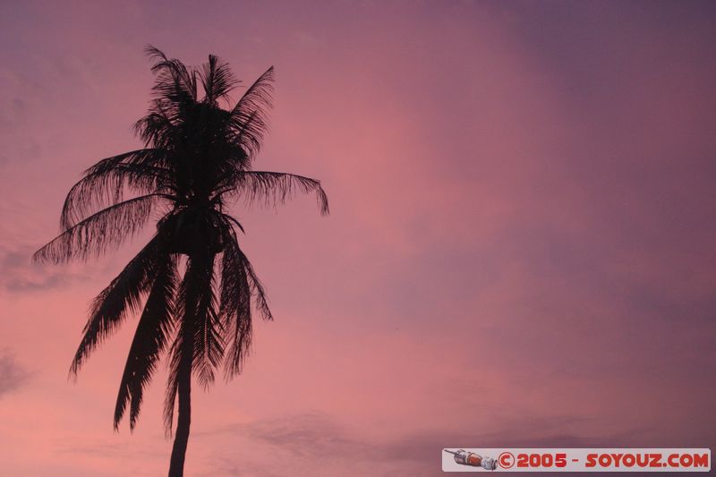 Koh Phi Phi Don - Ao Tonsai - Sunset
Mots-clés: thailand sunset Arbres