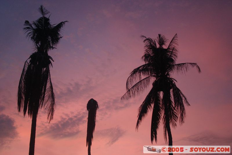 Koh Phi Phi Don - Ao Tonsai - Sunset
Mots-clés: thailand sunset Arbres