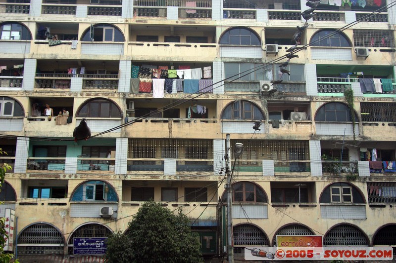 Yangon
Mots-clés: myanmar Burma Birmanie animals oiseau pigeon