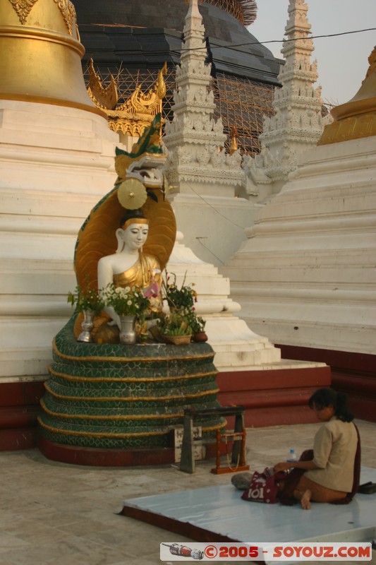 Yangon - Shwedagon Pagoda
Mots-clés: myanmar Burma Birmanie Pagode sunset