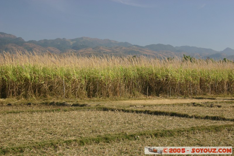 Nyaung Shwe
Mots-clés: myanmar Burma Birmanie