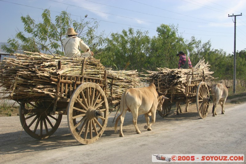 Nyaung Shwe - Charrette
Mots-clés: myanmar Burma Birmanie personnes