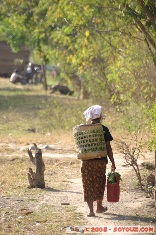 Nyaung Shwe
Mots-clés: myanmar Burma Birmanie personnes