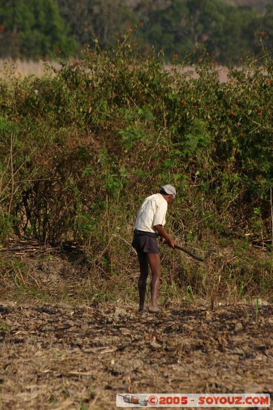 Nyaung Shwe
Mots-clés: myanmar Burma Birmanie