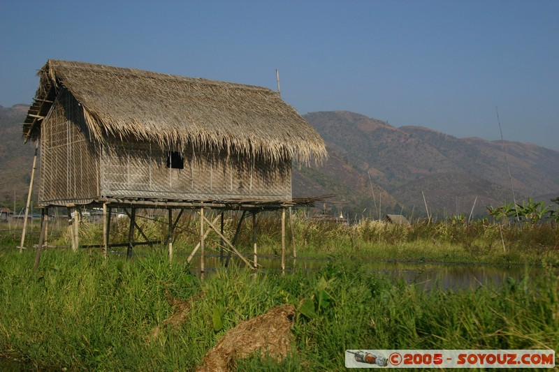 Inle lake - Lingin
Mots-clés: myanmar Burma Birmanie Lac