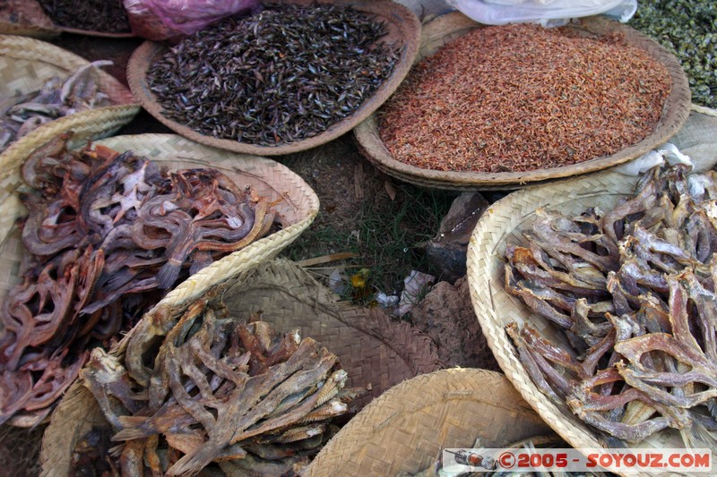 Inle lake - Lingin - Marche
Mots-clés: myanmar Burma Birmanie Marche