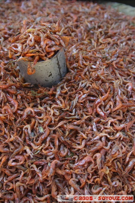 Inle lake - Lingin - Marche
Mots-clés: myanmar Burma Birmanie Marche