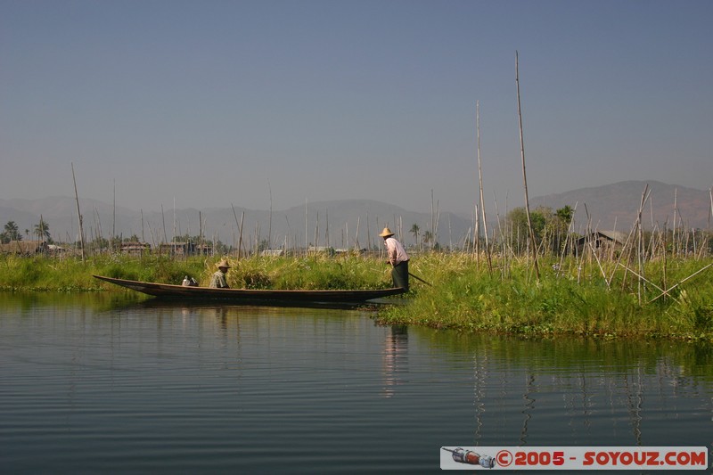 Inle lake - Kela - jardins flottants
Mots-clés: myanmar Burma Birmanie Lac