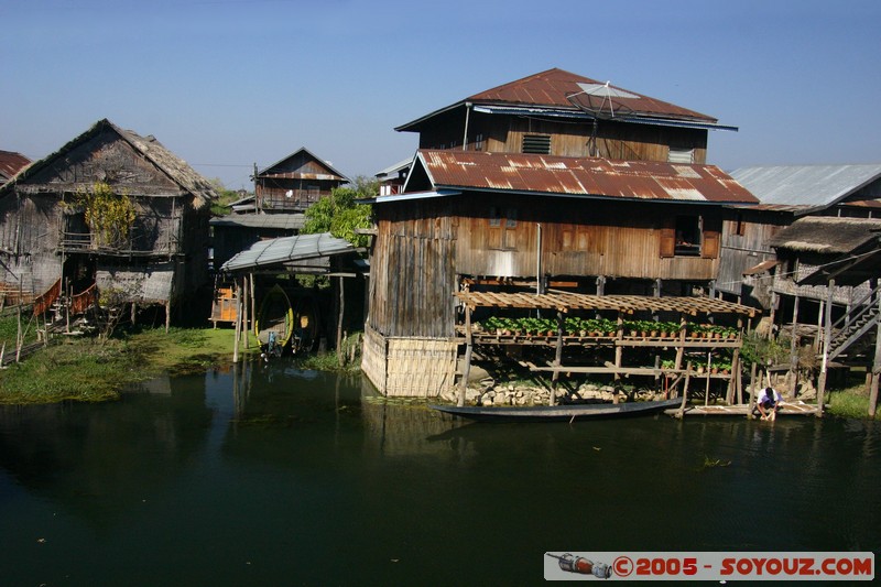 Inle lake - Inbawkon
Mots-clés: myanmar Burma Birmanie Lac